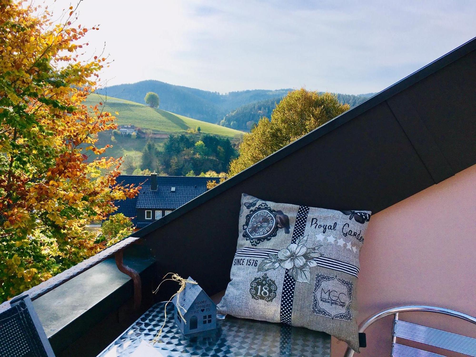 Goldener Hahn B&B Baiersbronn - Ferienwohnungen Mit Hotel Service Nahe Gartenschau Tal X 部屋 写真