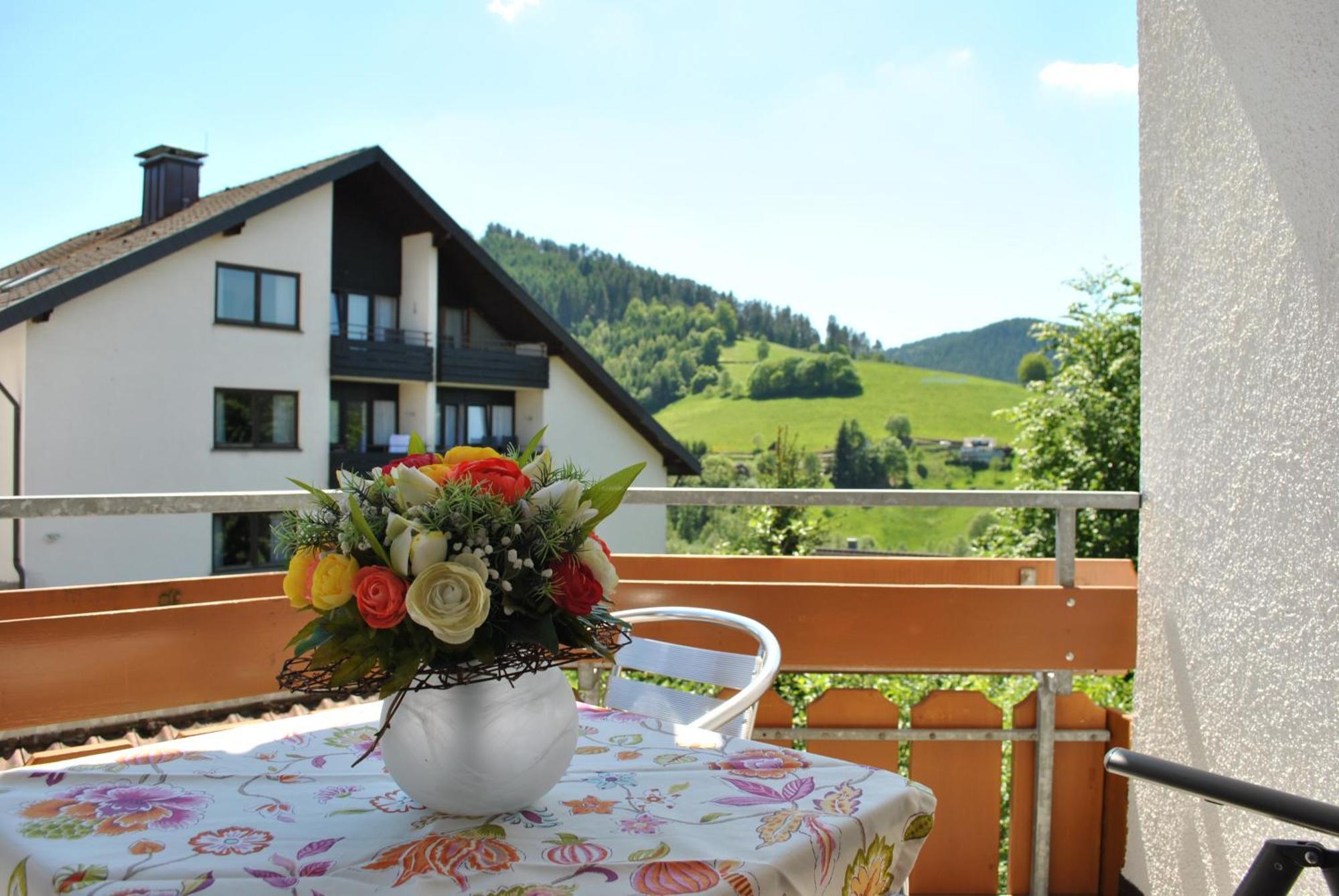 Goldener Hahn B&B Baiersbronn - Ferienwohnungen Mit Hotel Service Nahe Gartenschau Tal X エクステリア 写真